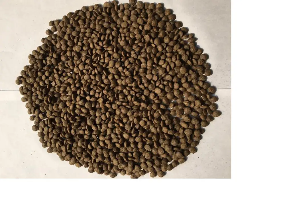 
dog food 