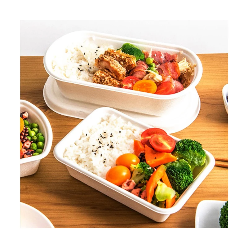 
Wholesale Price Eco-Friendly Biodegradable Sugarcane Pulp Paper Tray Disposable Paper Lunch Boxes 