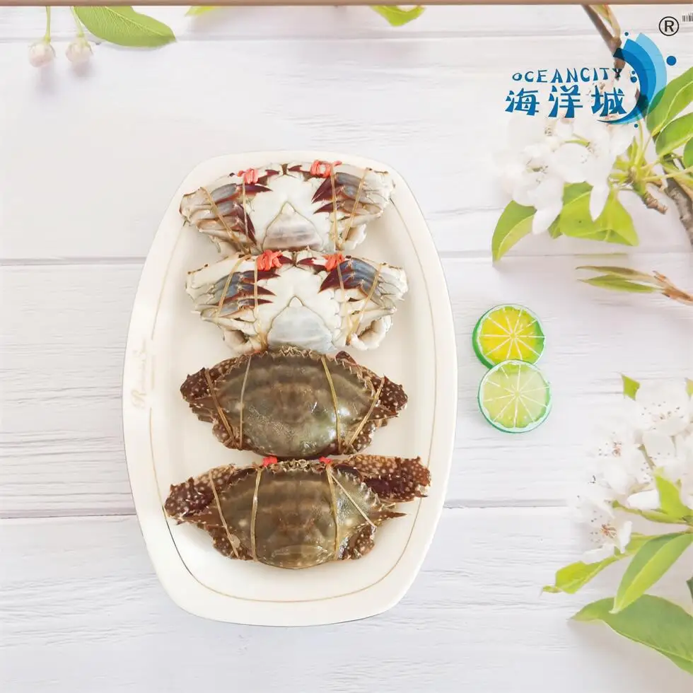 natural Fresh Frozen Seafood Swimming Crab Live Crabs Quick Freezing at -40