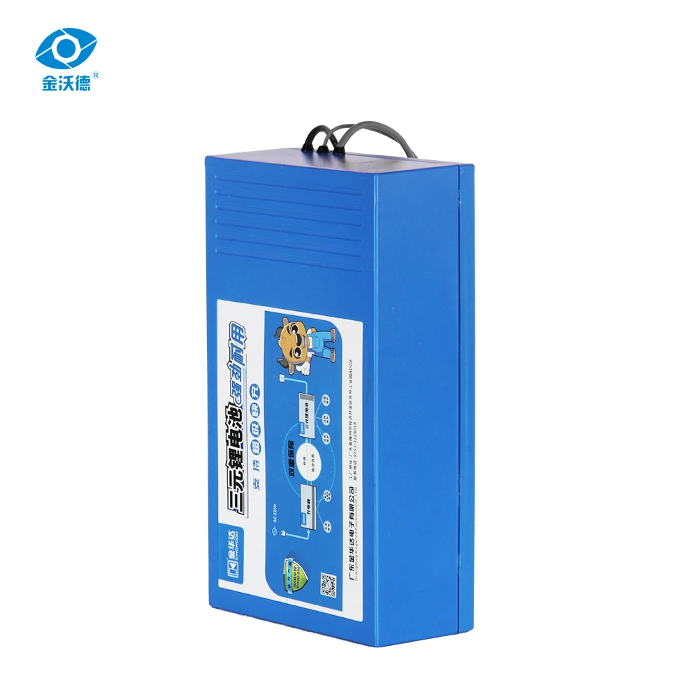 
Customized 48 Volt 36v 11.6ah Electric Bike Lithium Battery Pack 