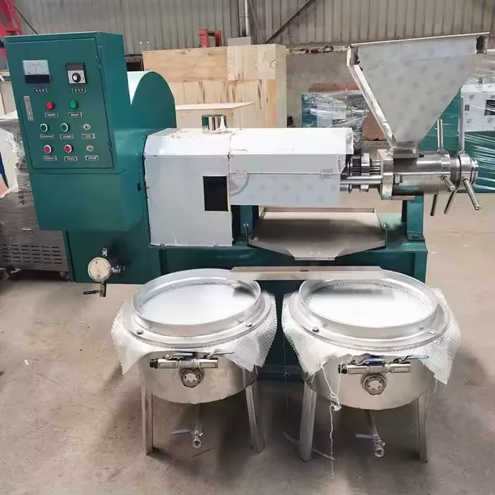 Soya Peanut Palm Coconut Oil Making Machine Automatic Cold Rapeseed Oil Press Machine