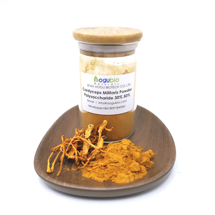 Лучшая цена органический Грибной Порошок Экстракт Кордицепса sinensis