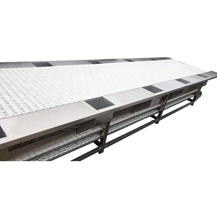 Li-Gong высокое качество фруктов и овощей прокатки бар сортировочная машина с распылением