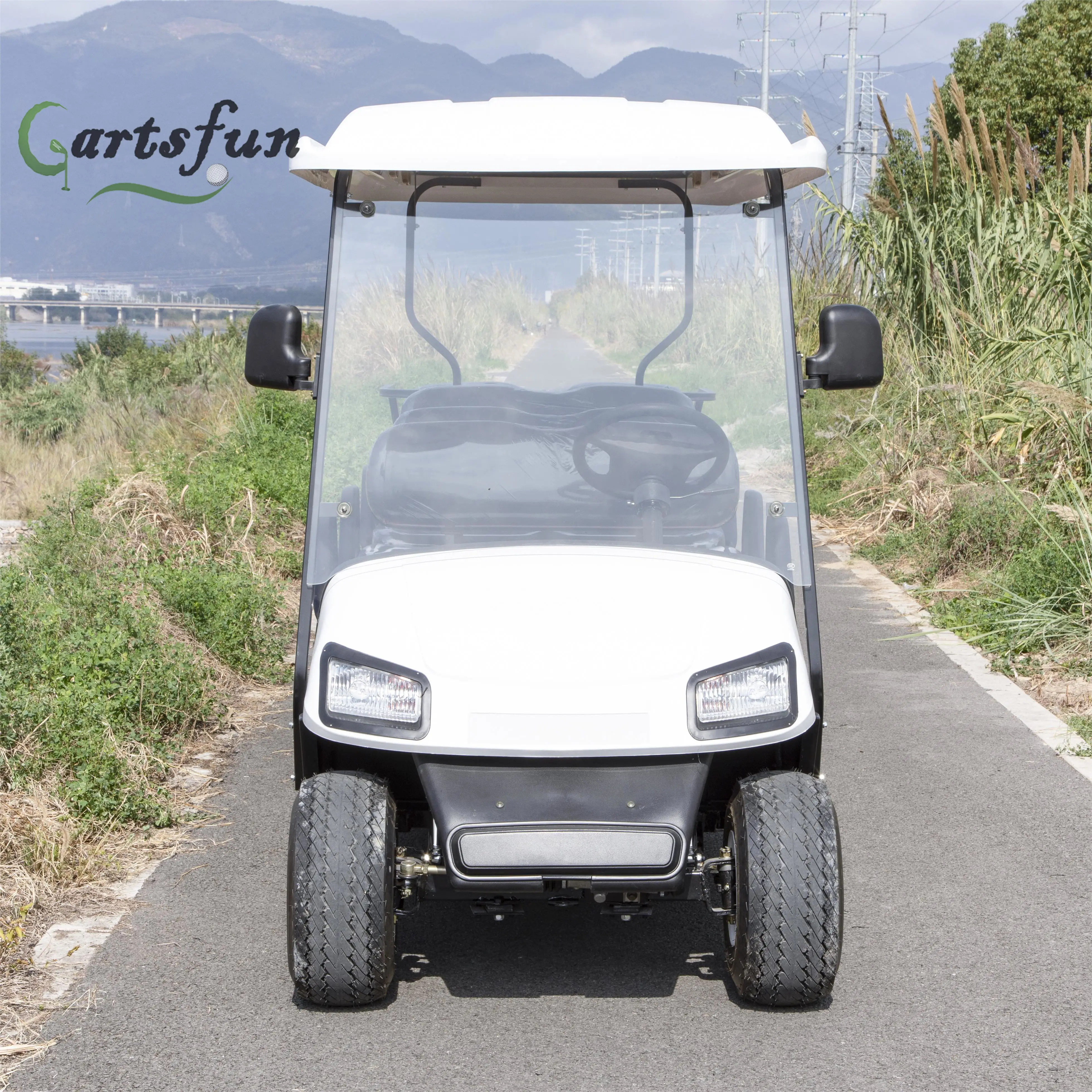 White Brand Hunting Car 8 Seat 48/60/72V Sightseeing Car Electric Lifted Golf Cart with Bumper