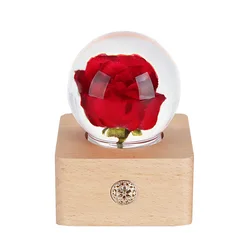long lasting everlasting roses flower preserved fresh rose flower head for decoration in gift box with LED light and wooden base