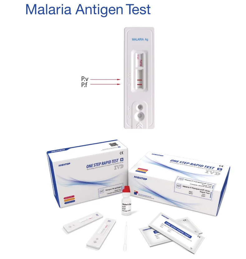 Hightop Rapid Test Kits hCG Pregnancy Hepatitis HBsAg HIV Syphilis Gonorrhea TOXO Chlamydia Malaria Typhoid Tests Leishmania