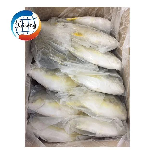 200-300 г замороженная Золотая помпано помфан рыба свежие морепродукты оптовая продажа