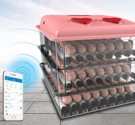 New Chinese Chicken Egg Incubator Red Color Plastic Box For Egg Incubator 48 Egg Incubator With Small