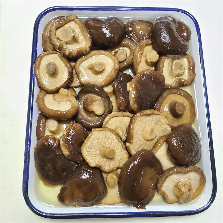 3kg Good Quality Canned Shiitakes Mushroom in Brine for Cooking