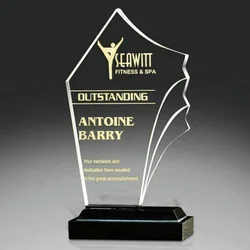 Manufacturer Clear Acrylic Trophy Awards Customized