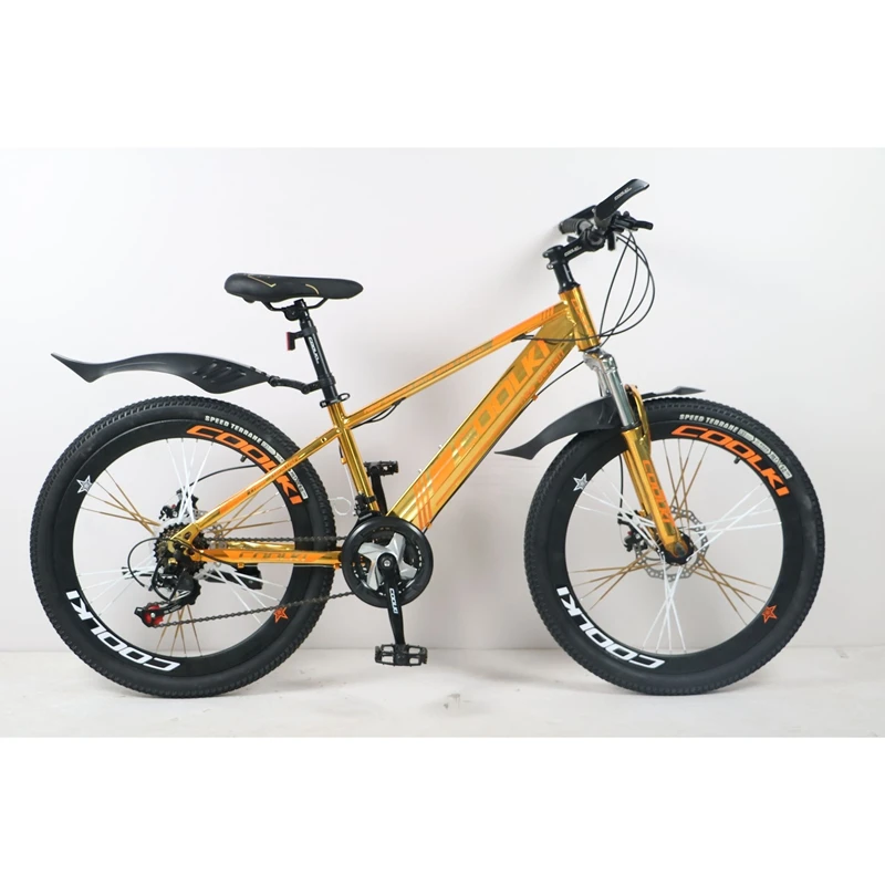 BMX Bike 21-Speed 24-Inch Full suspension Steel Fork double Disc Brake Unisex mountain bicycle