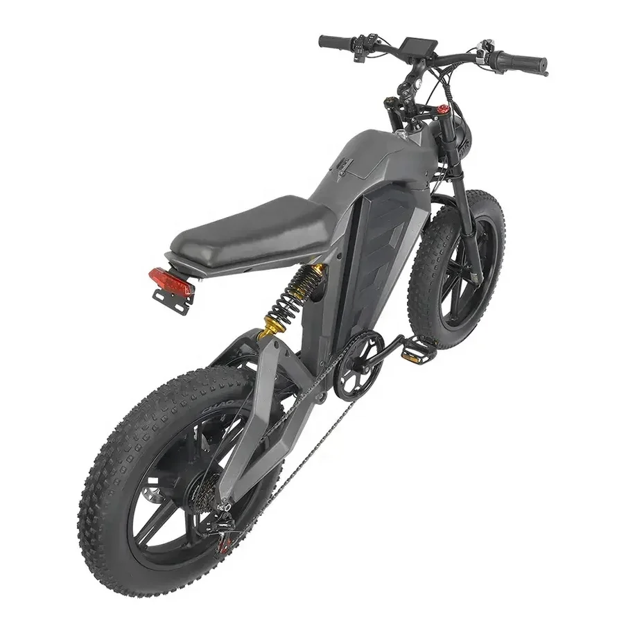 2024 New Model 48V 750W High Power Extreme Cross Electric Mountain Bike With Hydraulic Disc Brake 20 Inch Electric Fat Tire Bike