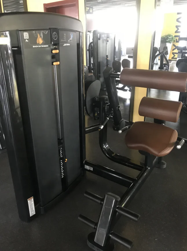 Commercial Home life fitness hammer seated back extension training Equipment Manufacturer wholesale hot sale fitness equipment