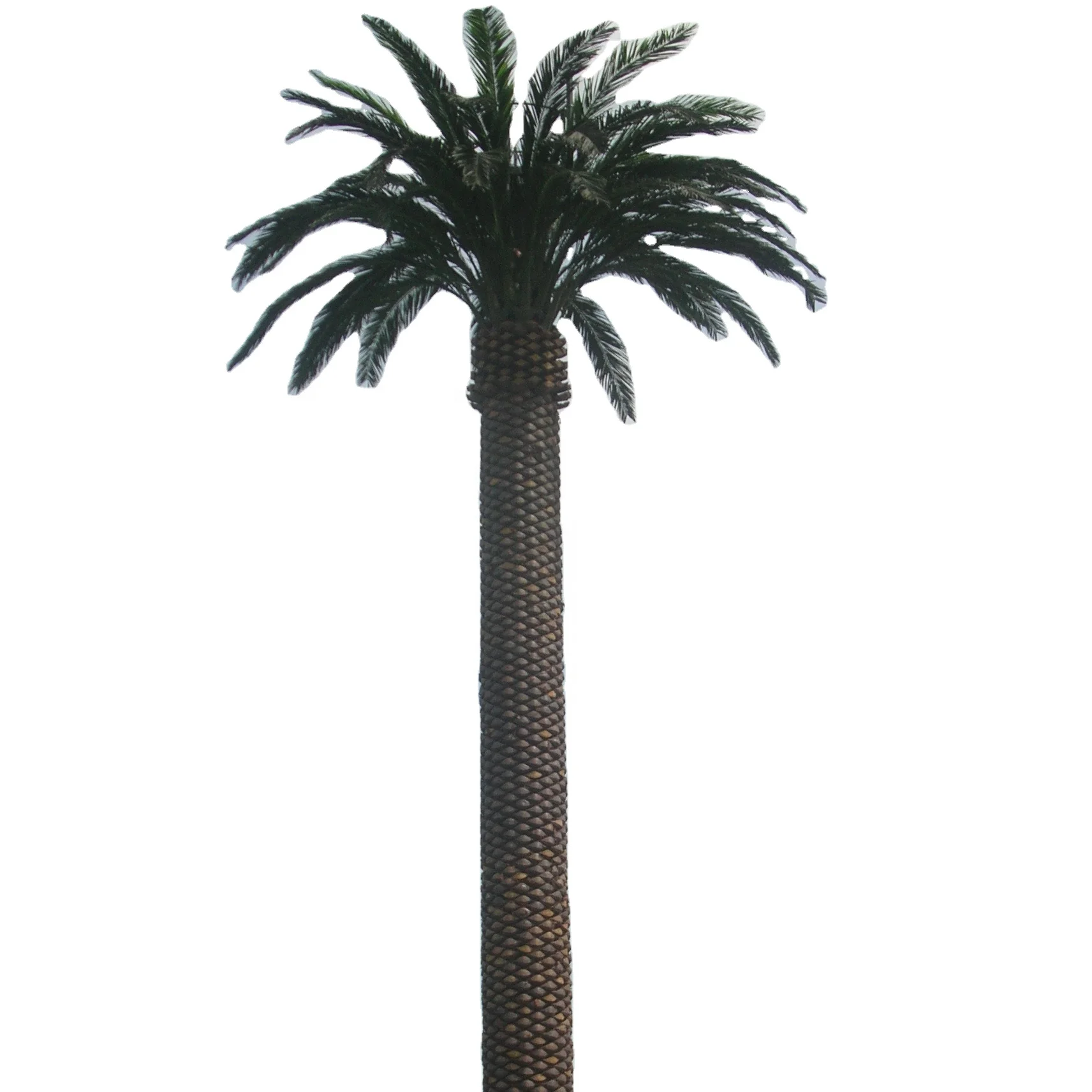 Camouflaged Palm or Pine Tree Monopole Antenna Mobile Telecom Tower