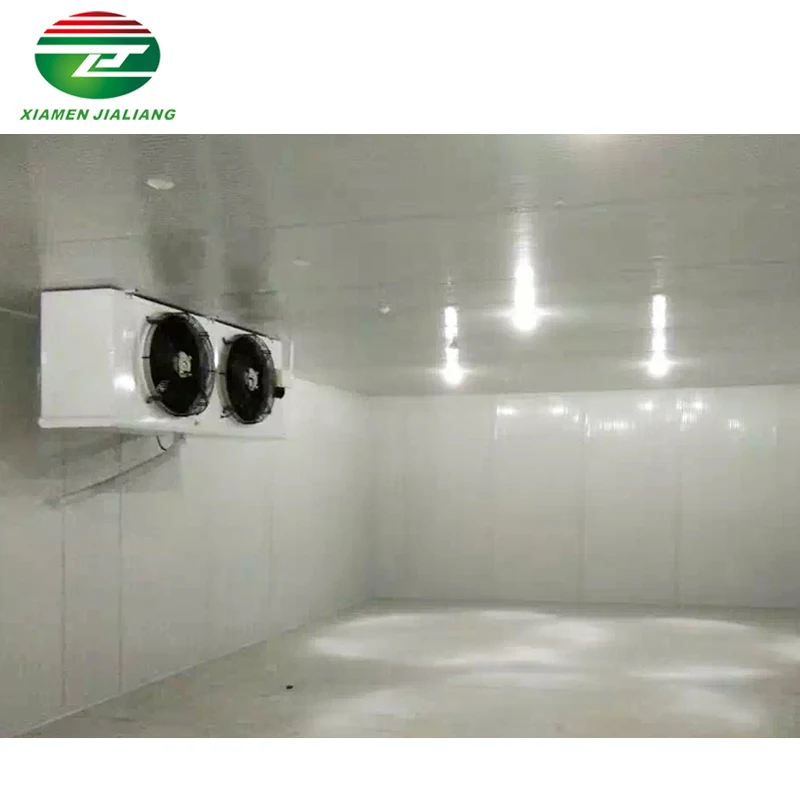 complete in specifications grape cold room for chicken cold room for meat storage 100 tones freezer room cold storage.