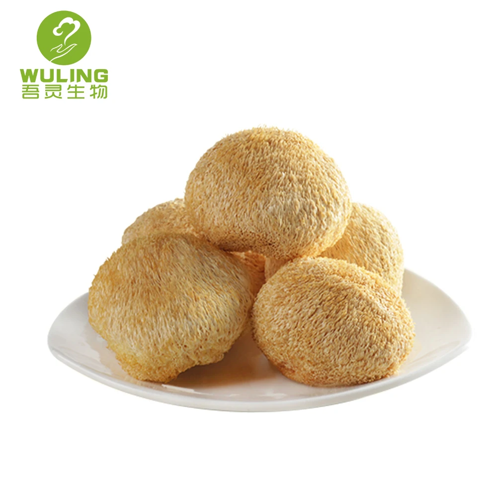 Экстракт грибов Львиной гривы, левая Грива (Hericium eroiseus)