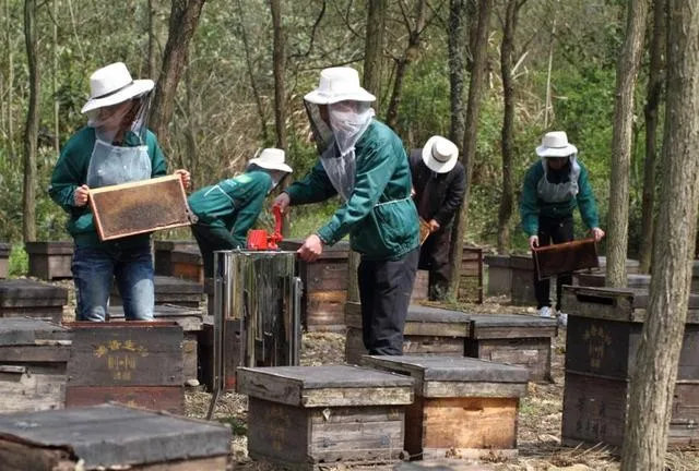 Polyflora honey,2023 good season sold for EU countries