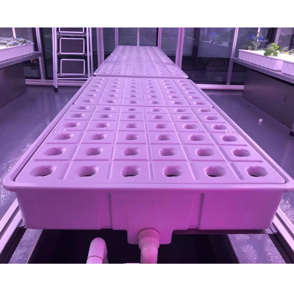 
ABS Vacuum Forming White Growing Plastic Nursery Tray Hydroponic Seeding Planting Plastic Tray 