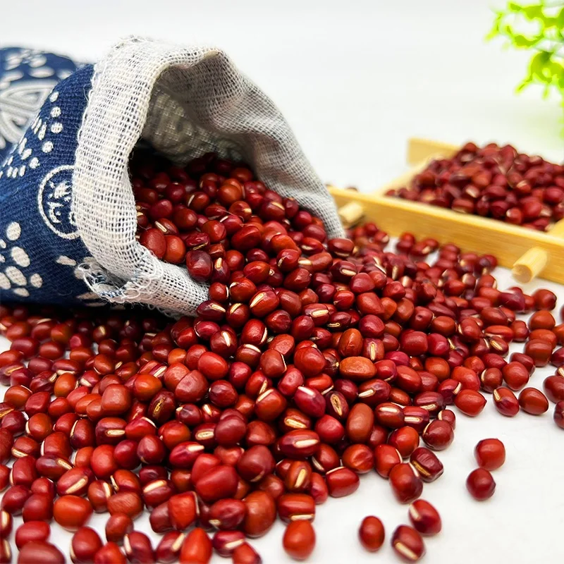 High Quality Dried Organic Round Type Small Red Adzuki Azuki Bean For Korean Bingsu