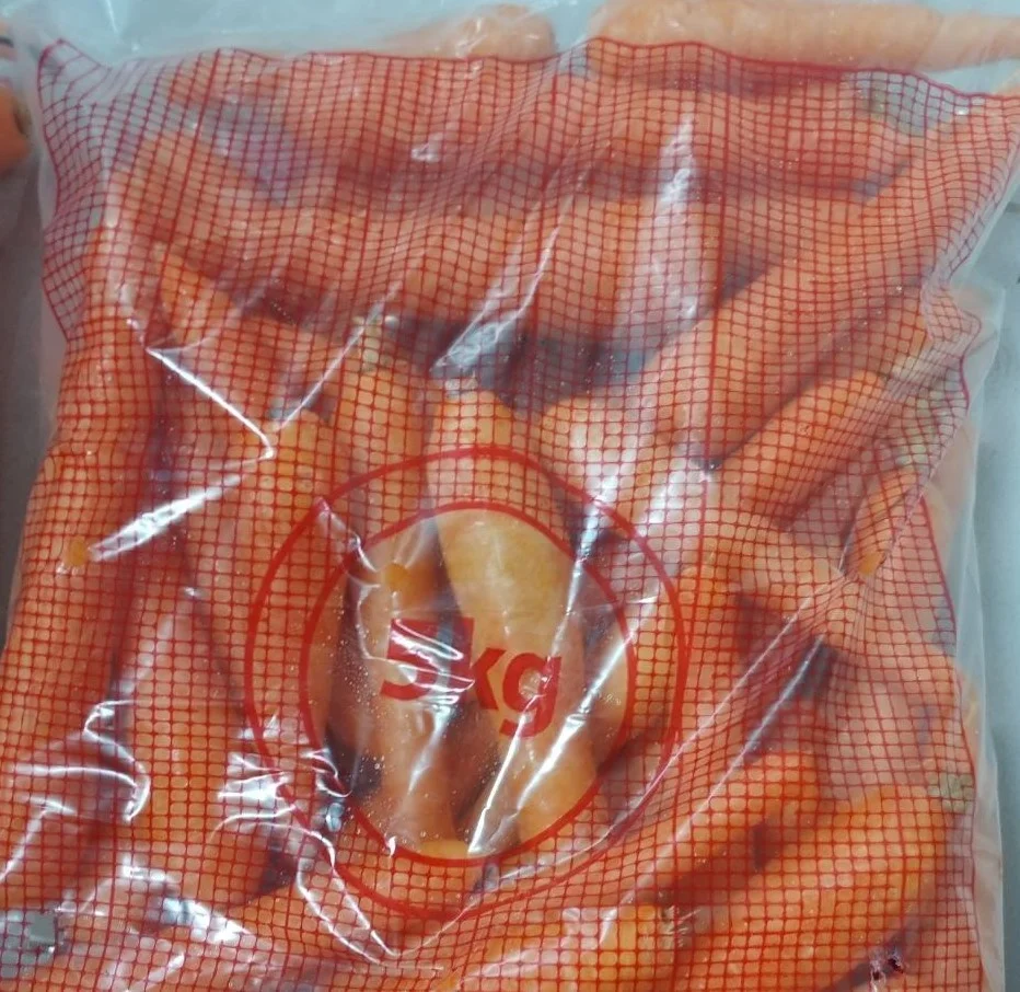 2020 Greek bulk vegetables carrot harvester fresh carrots