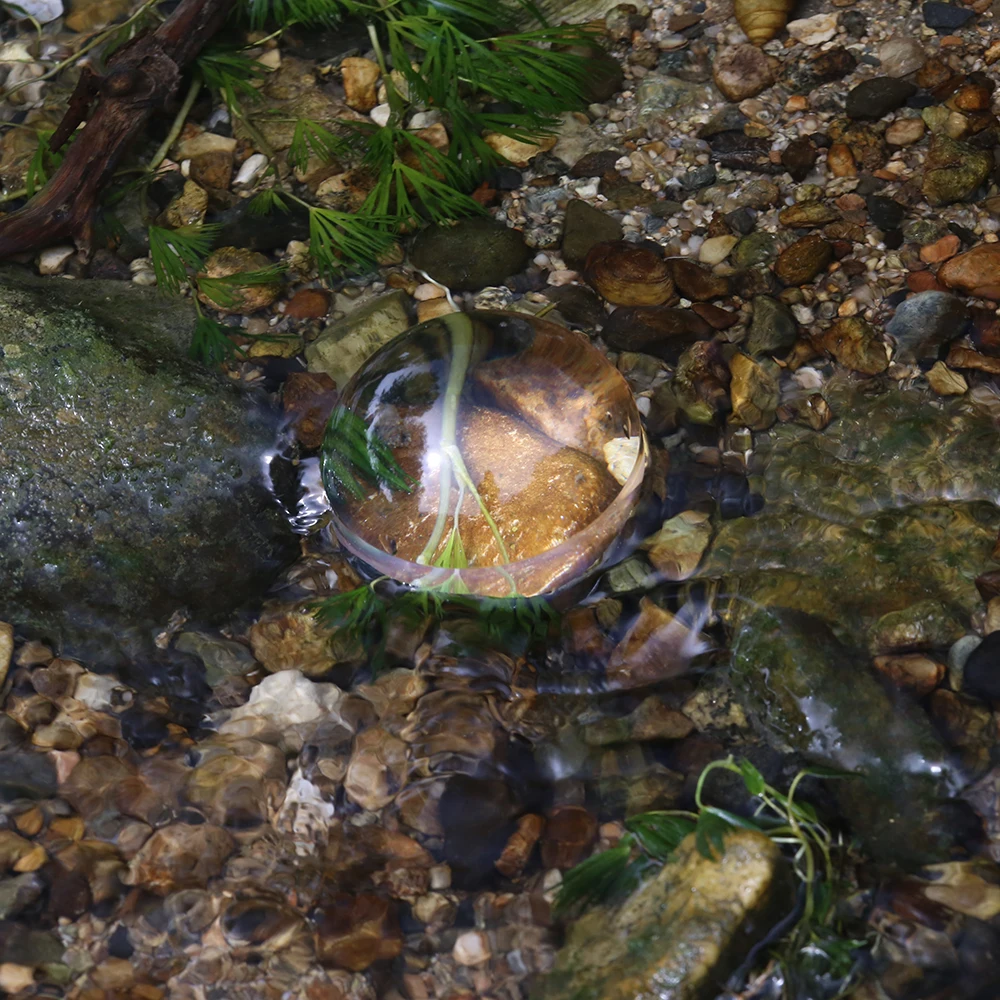 BIJIA 95mm Acrylic Reading magnifying glass paperweight dome magnifier for elderly