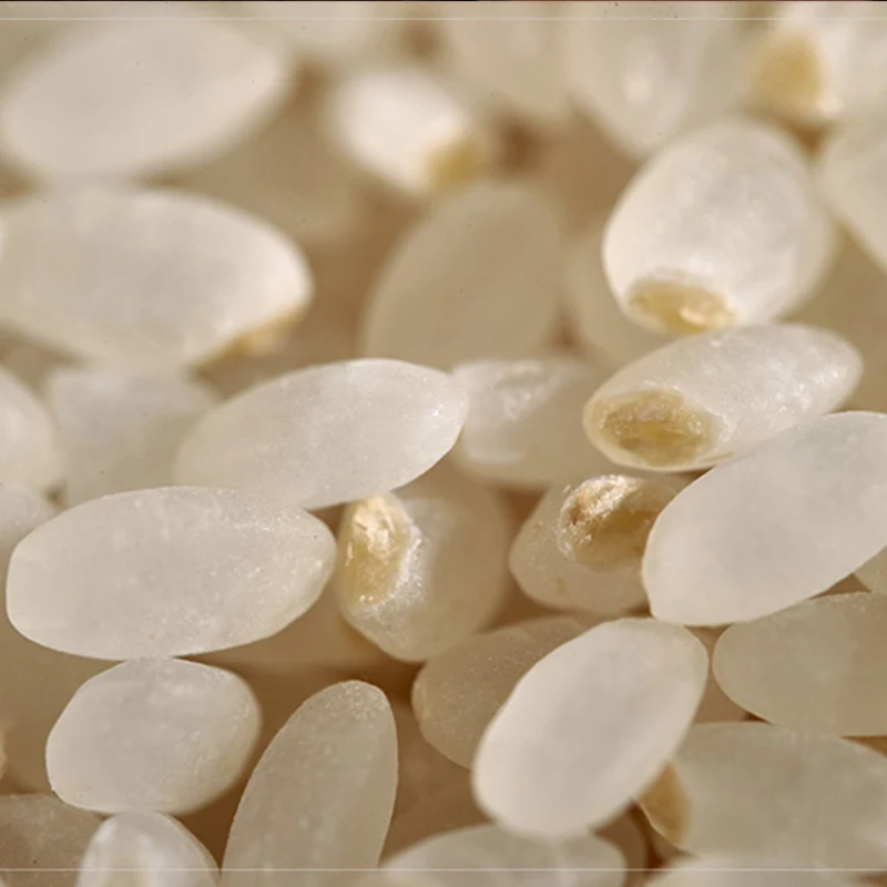 Оптовая продажа высокое качество органического прорастания Риса оптом