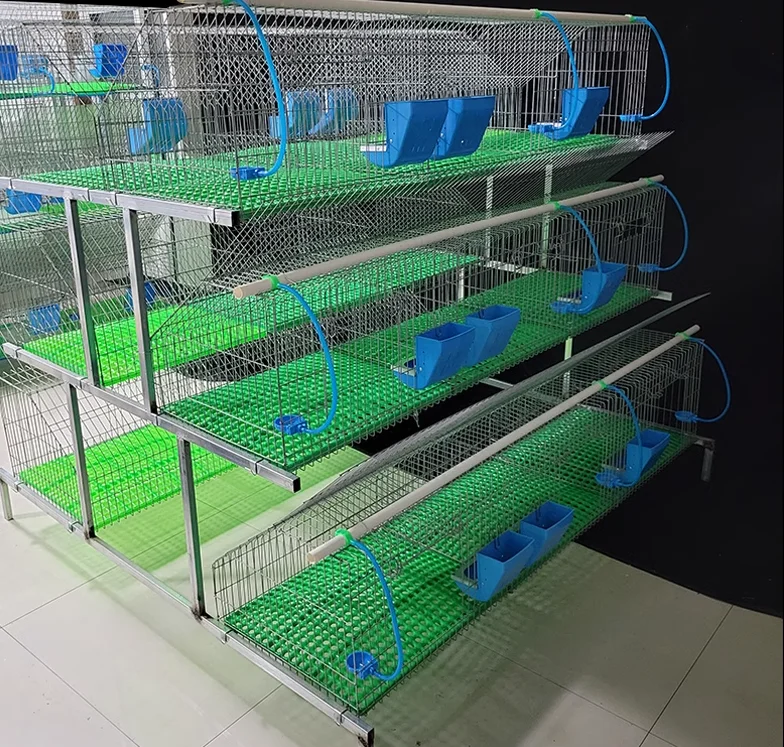 A Type ladder 3 floor rabbit cage commercial farming breeders cage