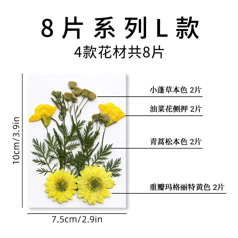 8pcs/pack DIY Craft Face Decoration of Wedding Candle Resin Epoxy Material Pressed Flower Combination