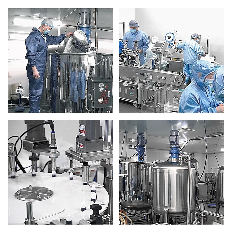 Hot Sale Food Grade Magnesium Hydrogen Phosphate Powder Mghpo4 3H2O for Nutrition Supplement CAS 7757-86-0