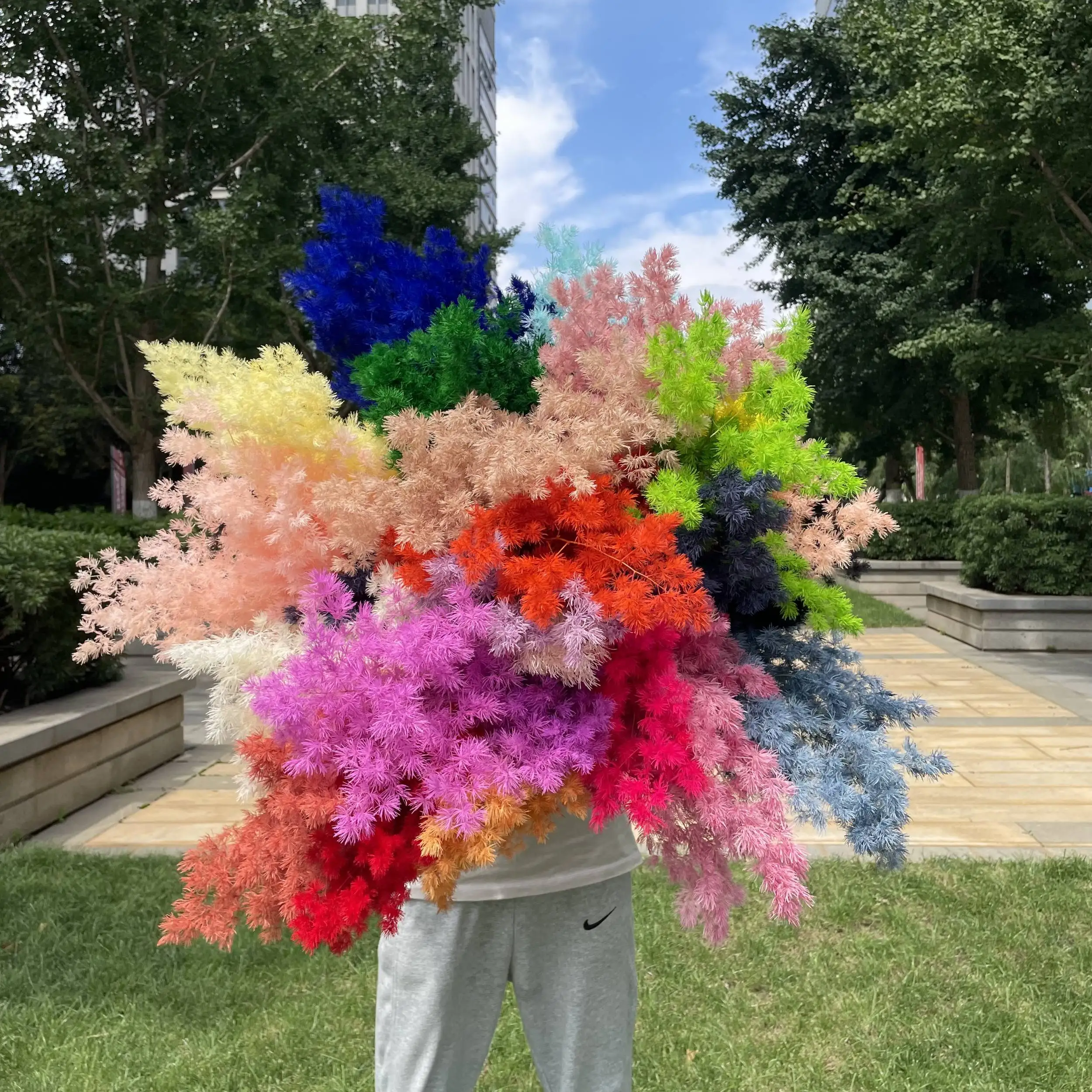 Preserved Plant Preserved Asparagus Myrioeladus Preserved Eternal Flower