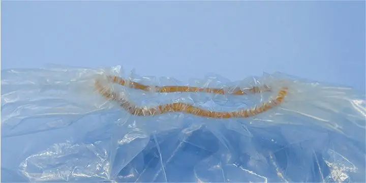 High Quality Kitchen Food Gloves Transparent Disposable Cpe Long Arm Gloves