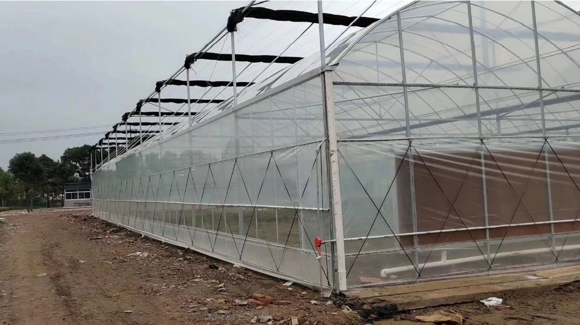Алюминиевые теплицы сельскохозяйственное оборудование с теплицами тепловое одеяло для продажи