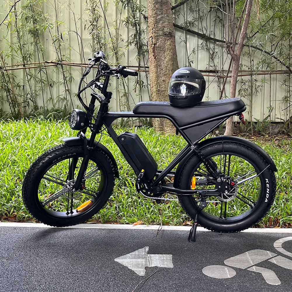 V8 Pro Plus 1000W 48V Electric Bike for Adults Dual Shock AbsorbersFat Tire Ebike 24 Inch Electric Off-Road Mountain Bicycle