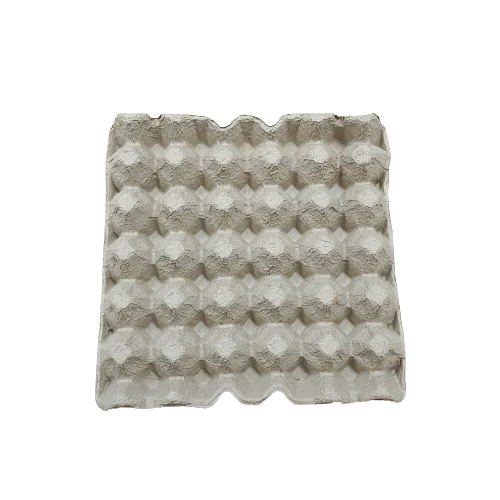 Biodegradable egg carton empty 30 cells tray box packaging for chicken egg