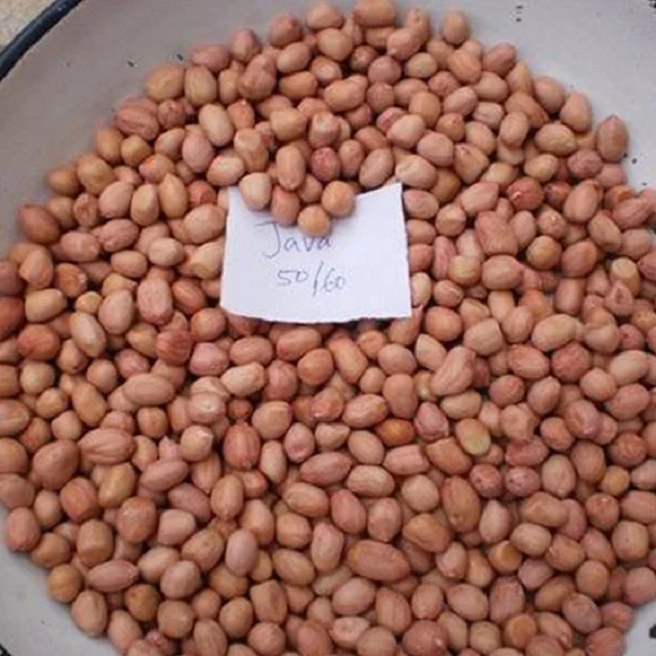 Mungfali Dana 50 60 JAVA Peanut Groundnut Kernels at best Offer Price