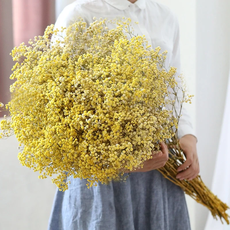 O-X296 Cheap Wholesale price A grade Dried Flower Babysbreath Bulk White Pink Natural Dried Preserved Gypsophila Flower