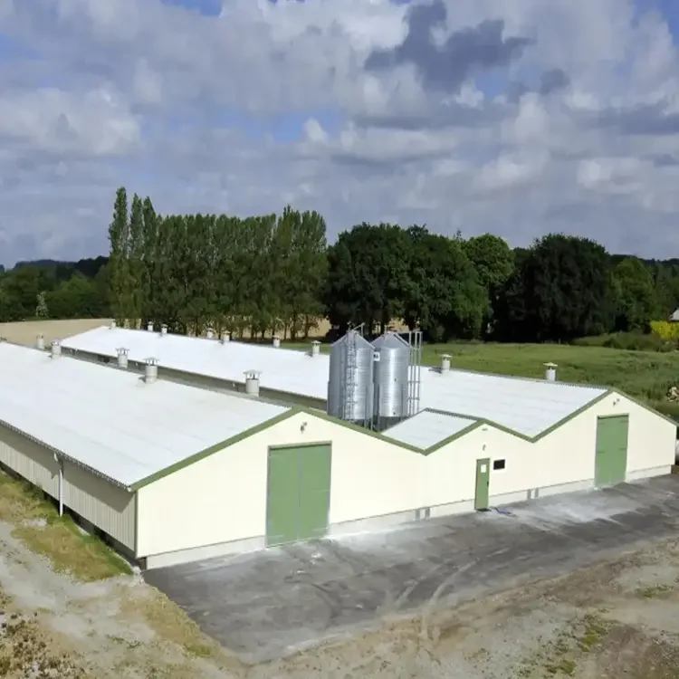 single or double storey custom made lightsteel prefabricated poultry houses for climate controlled livestock rearing