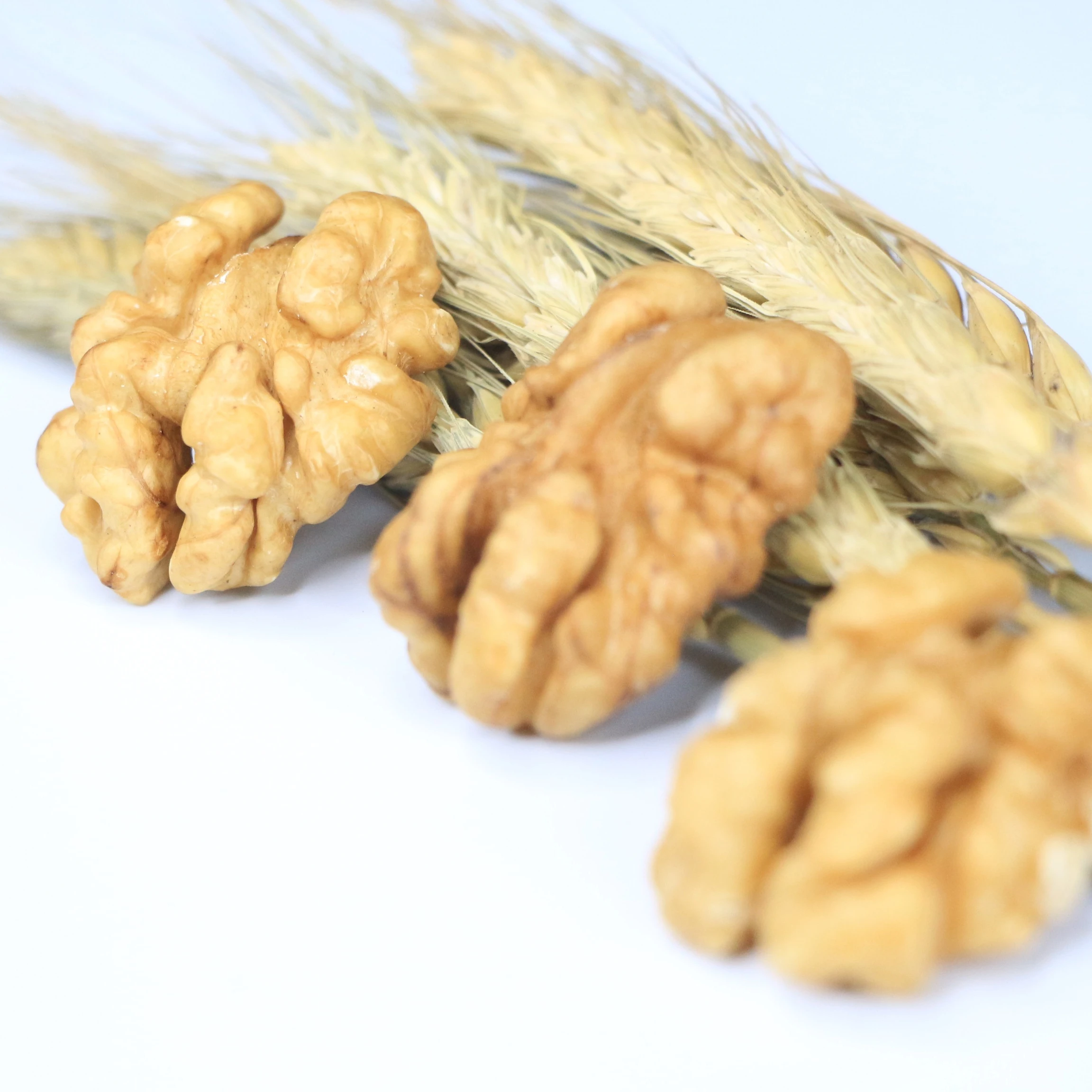 China Xinjiang Raw Thin Skinned Nuts Price Walnut Can Do Jujube Walnut