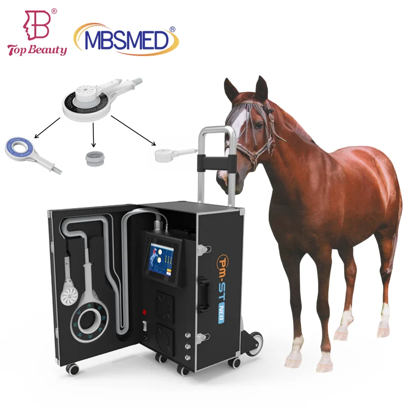 Magnetotherapy Pemf Magnetic Therapy Horse Magnetic Therapy Pemf Use For Pain Pemf For Vet Magnetotherapy Equipment