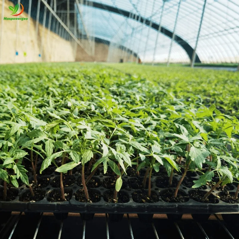 72 105 128 200 288 seed cells seeding tray nursery for fruits ,vegetable ,flower germination