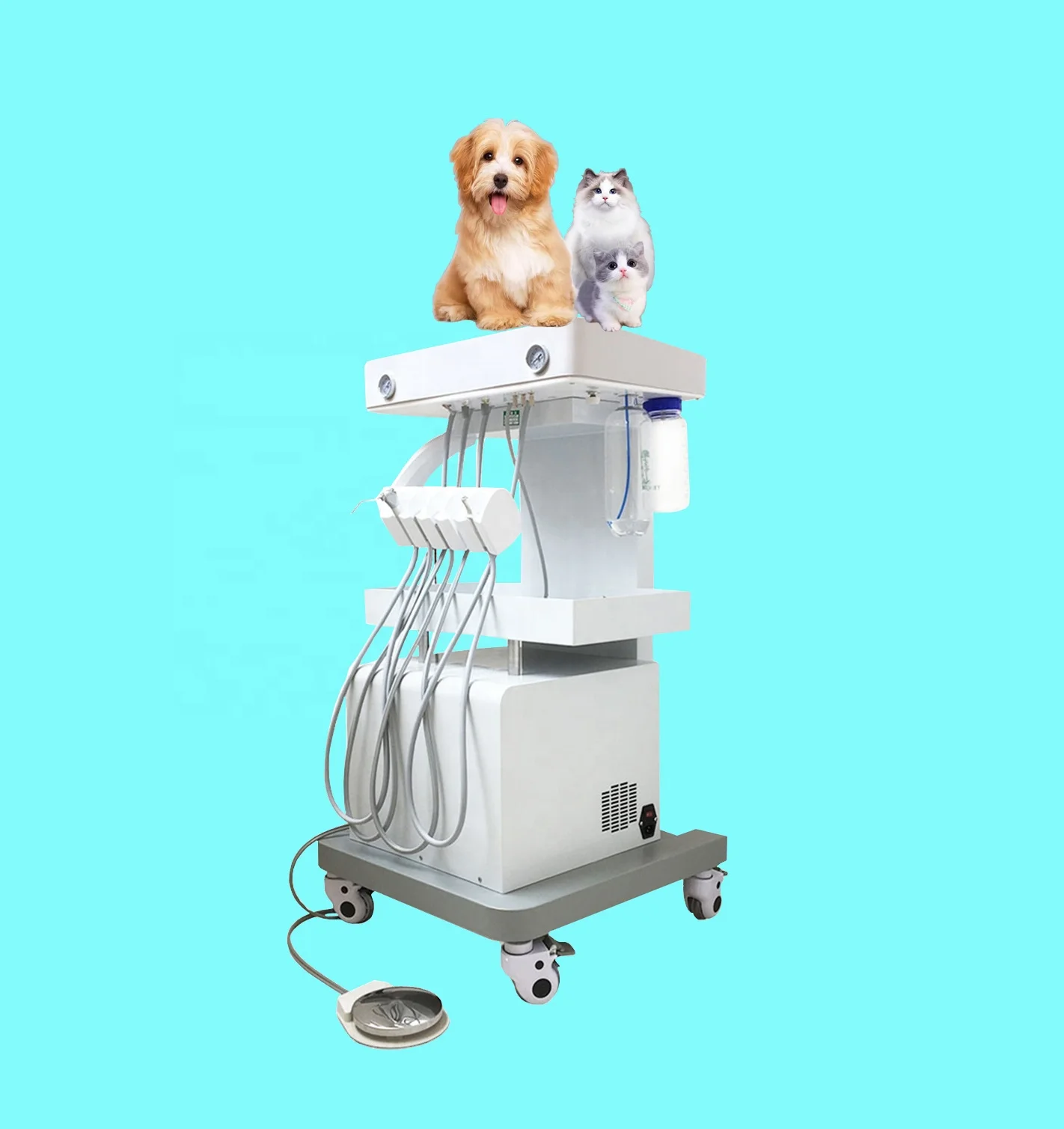 Mobile Dental Turbine Unit With Compressor Dental Veterinary Instrument