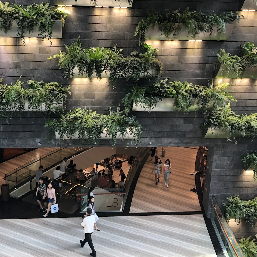 Premium Quality of Pedra Hitam Preta Cut-To-Size Basalt Volcanic Lava Stone for Outdoor Tiles and Pavers