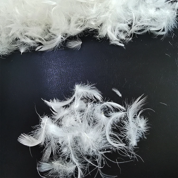 High quality washed duck feather duvet white brown &white duck feather buyer 2-4 cm duck feather white for furniture sofa