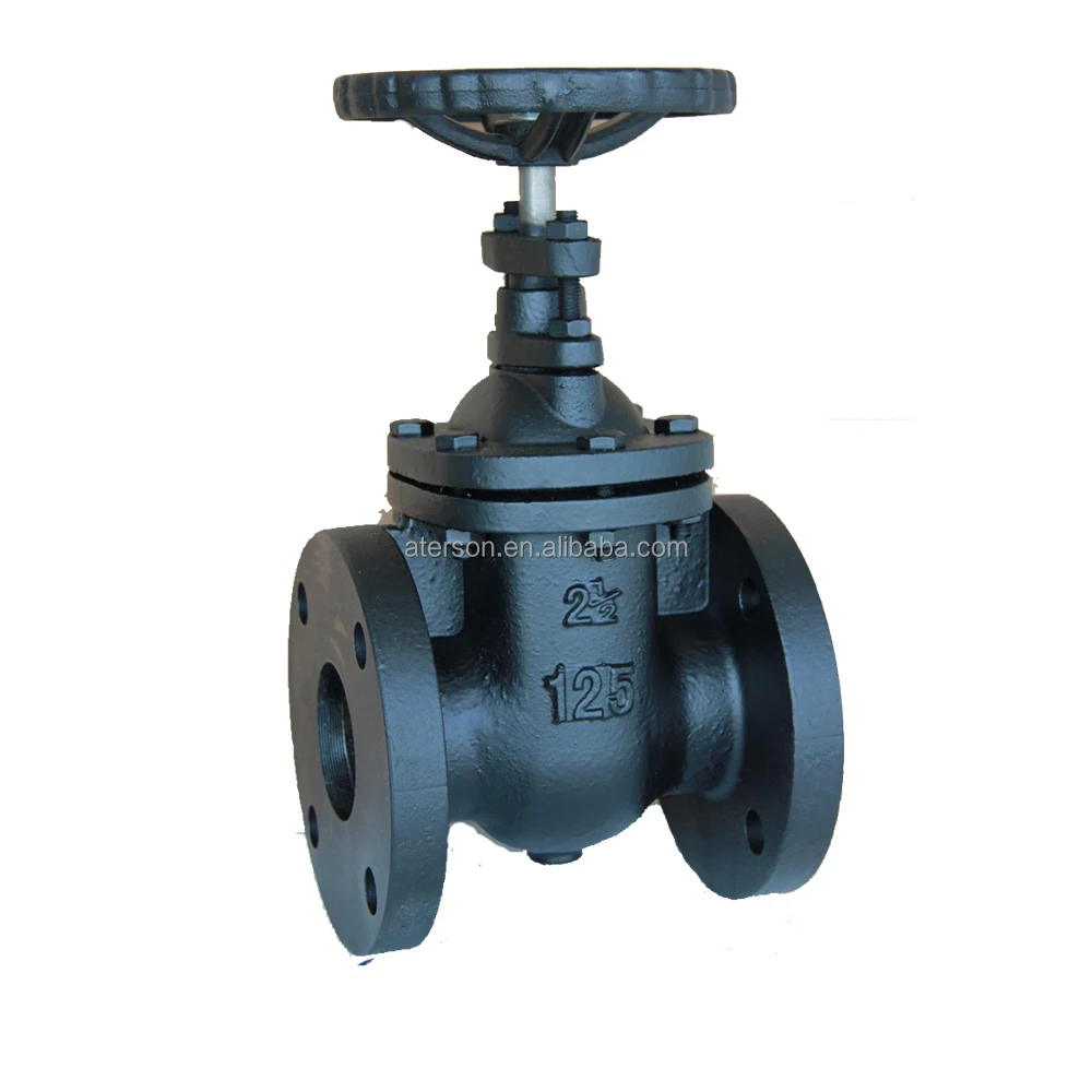 Industry ANSI ASME Standard Class 125 150 300 2 1/2 inch Ductile Iron GGG50 nrs Gate Valve