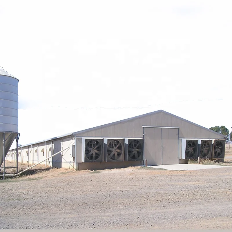 Automatic Poultry Farming System Broiler Layer Chicken Equipment Chicken Livestock Feeder Equipment Automatic Feeding 1.5 Years