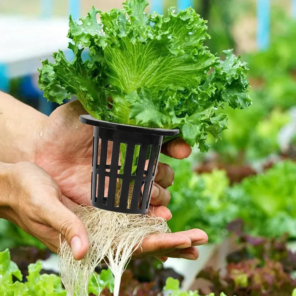 Hydroponic Basket Garden Vegetable Soilless Grow Net Pot Multi-Size  Plastic Planting Mesh Pots