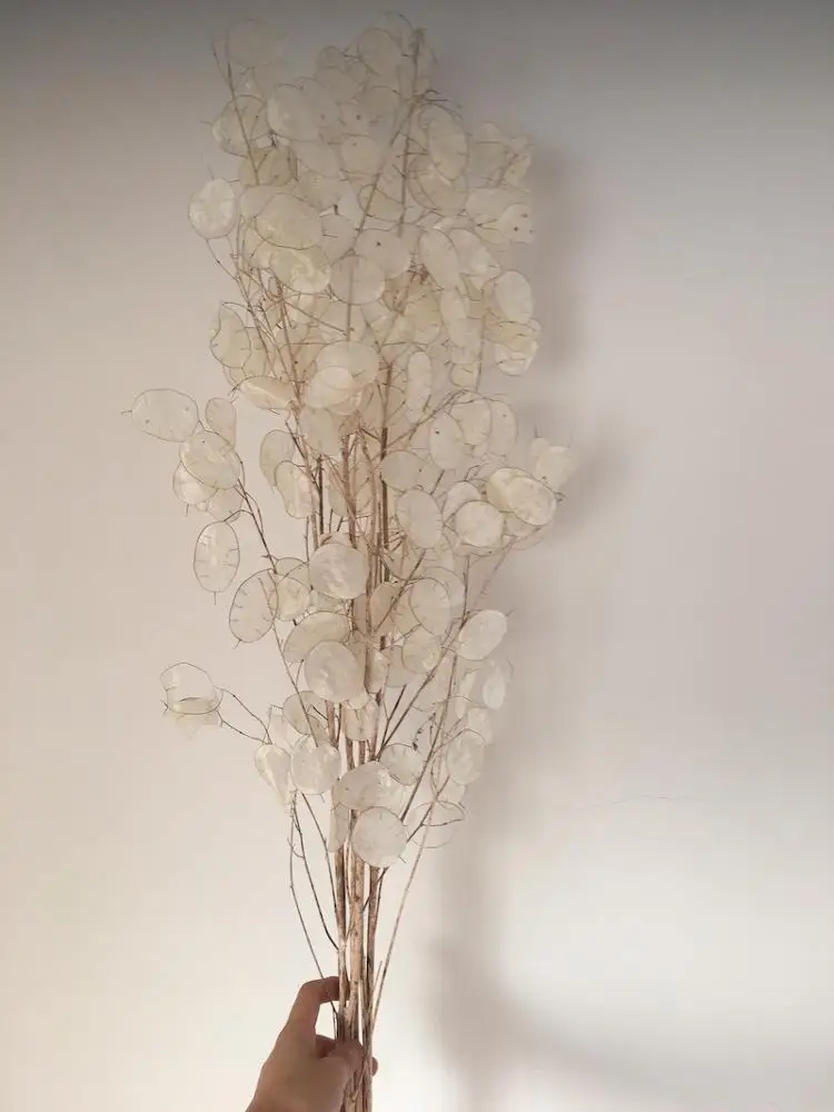 Yunnna Cheap Real Wedding Dried Flower Bouquet Dried  globe amaranth Flower Gomphrena Globosa