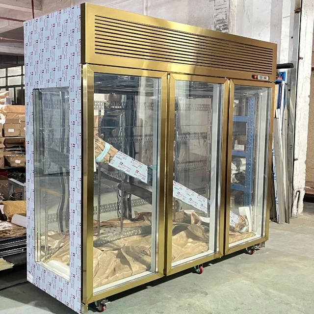 High Quality Dry Age Fridge Vertical Freezer Commercial Meat Display Freezer