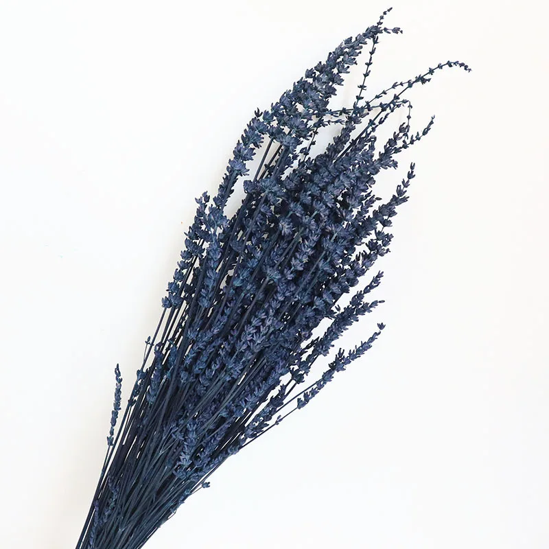 Yunnan Wholesale Dried Lavender Preserved Lavender Flowers for Home and Wedding Flower Decoration