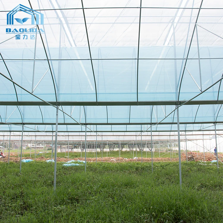 Cheap Tomato Agricultural Plastic Film Cover Low Cost Economic Large Multispan Greenhouse for Vegetable